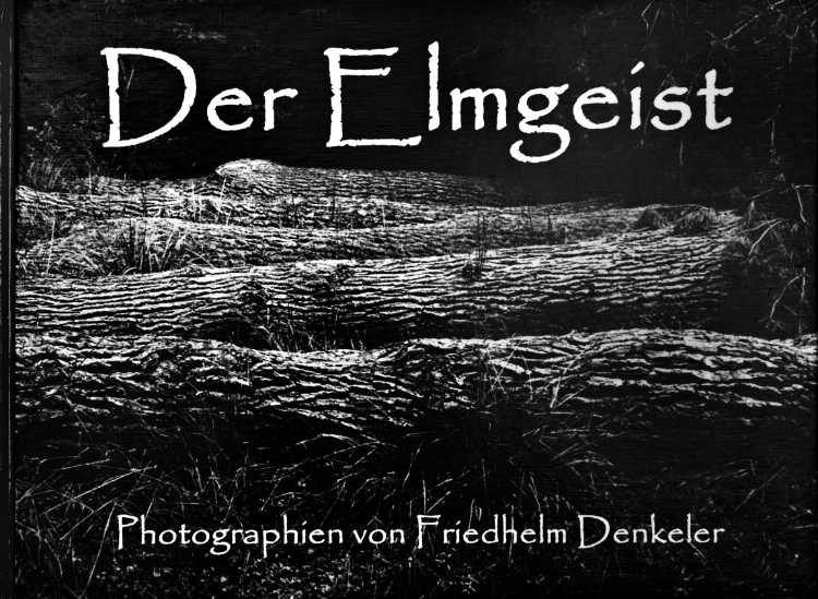 Künstlerbuch »Der Elmgeist«, 42x30 cm, 104 Seiten, 2015