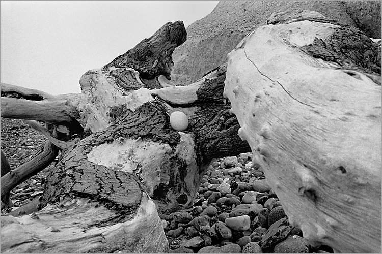 »Ei in Szene gesetzt«, aus dem Portfolio »Møns Klint«, Foto © Friedhelm Denkeler 1983