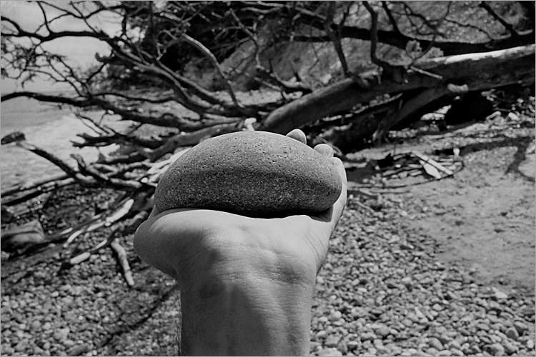 »Großer Handschmeichler«, aus dem Portfolio »Møns Klint«, Foto © Friedhelm Denkeler 1983