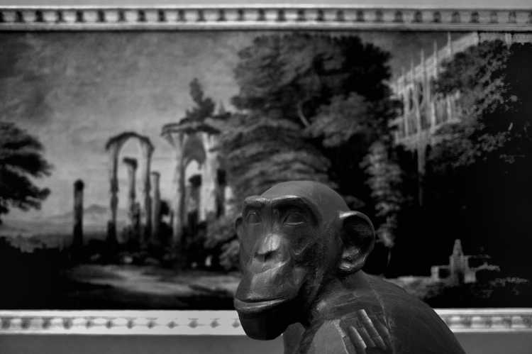 »Schimpansin Missie vor einer Gotischen Klosterruine«, aus dem Portfolio »Schwarzbuch – Im eigenen Auftrag«, Foto © Friedhelm Denkeler 2016