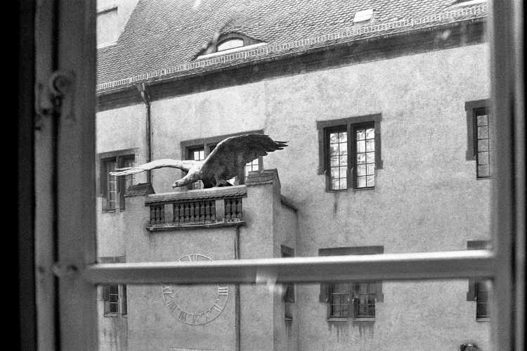 »Ein Raubvogel auf dem Balkon«, Stadtmuseum, Berlin, Foto © Friedhelm Denkeler 1991