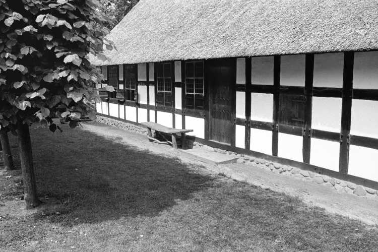 »Fachwerkhaus mit Schilfdach«, Rahden, Ost-Westfalen, aus dem Portfolio »Westfälische Landschaften«, Kapitel »Der Bauernhof«, Foto © Friedhelm Denkeler 1985