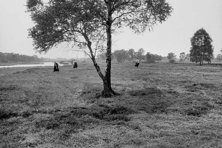 »Pilzsammlerinnen im Isenstedter Moor«, aus dem Portfolio »Westfälische Landschaften«, Kapitel »Das Teufelsmoor«, Foto © Friedhelm Denkeler 1985