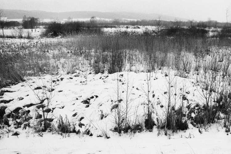 »Schneebedeckter, magischer Kreis«, aus dem Portfolio »Westfälische Landschaften«, Lübbecke, Kapitel »Winter in Westfalen«, Foto © Friedhelm Denkeler 1986