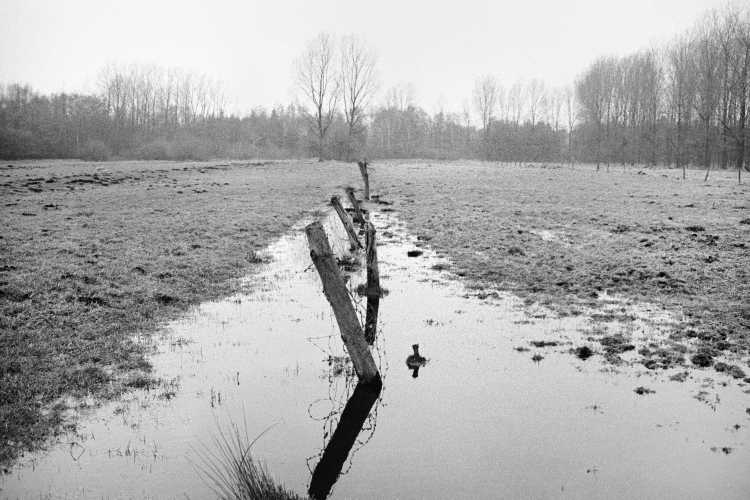 »Überschwemmte Wiese», Isenstedt, aus dem Portfolio »Westfälische Landschaften«, Kapitel »Auf Feld und Flur«, Foto © Friedhelm Denkeler 1988