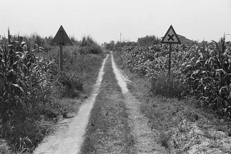 »Suche nach der Kreuzung«, Venedig, 1979