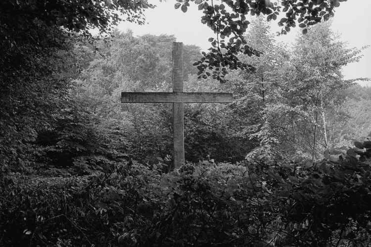 »Ein Kreuz im Wald«, Insel Møn, 1983