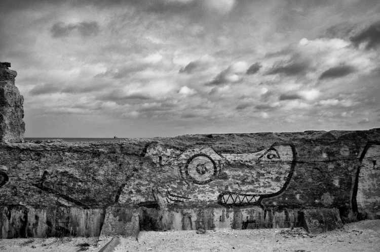 »Der Höllenhund von Prora«, Rügen, Ostsee, 2016