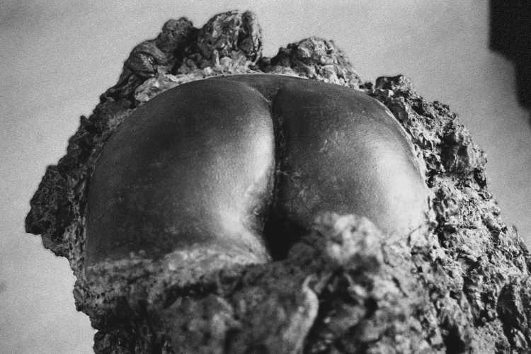 Jardim da Fundação Calouste Gulbenkian mit Calouste Gulbenkian Museum und Centro de Arte Moderna, Lissabon, 27. September1986, Foto © Friedhelm Denkeler