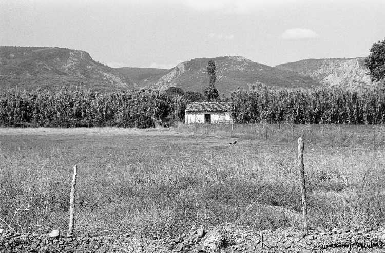 »Auf dem Weg nach Thermi«, Lesbos, Griechenland, aus dem Portfolio und Künstlerbuch »In südlichen Gefilden«, Foto © Friedhelm Denkeler 1978